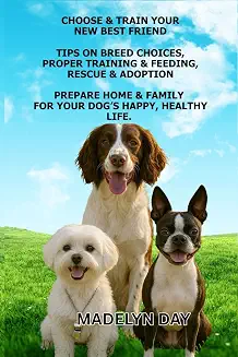 Choose & Train Your New Best Friend